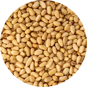 Pinienkerne | Pine nut kernels