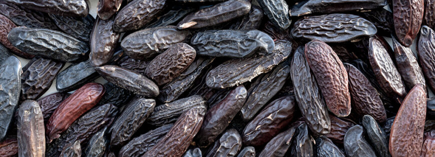 Tonkabohnen | tonka beans
