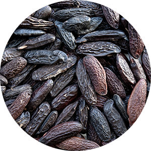 Tonkabohnen | Tonka beans