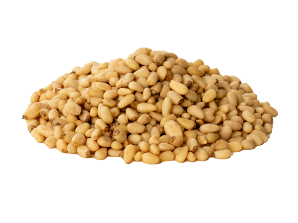 Pinienkerne | Pine nut kernels
