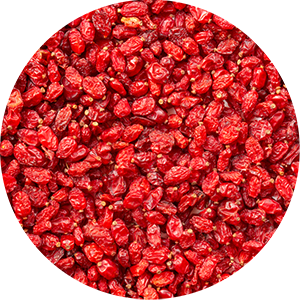 Berberitze | Barberries