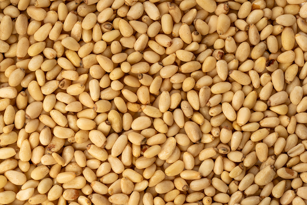 Pinienkerne | Pine nut kernels