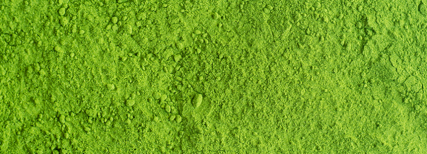Matcha-Tee